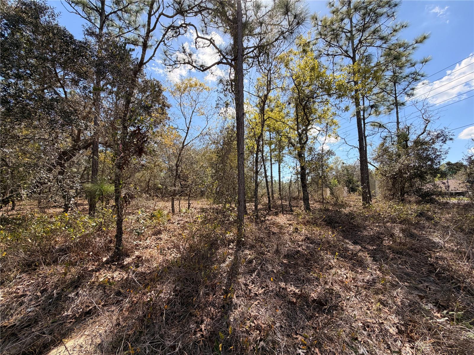 Image 9 of 27 For 2 Linder Street