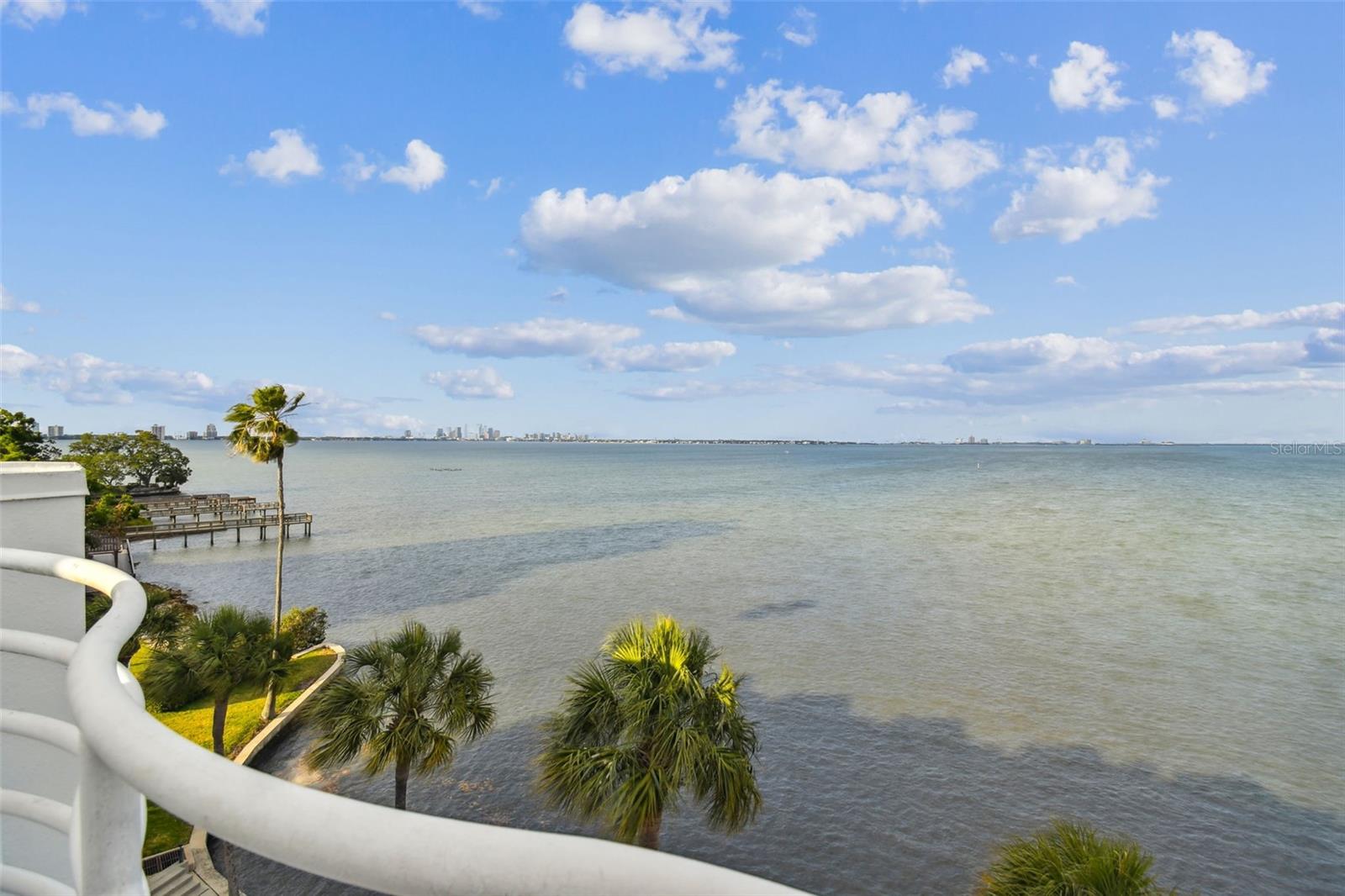 Image 65 of 99 For 4950 Bayshore Boulevard 22