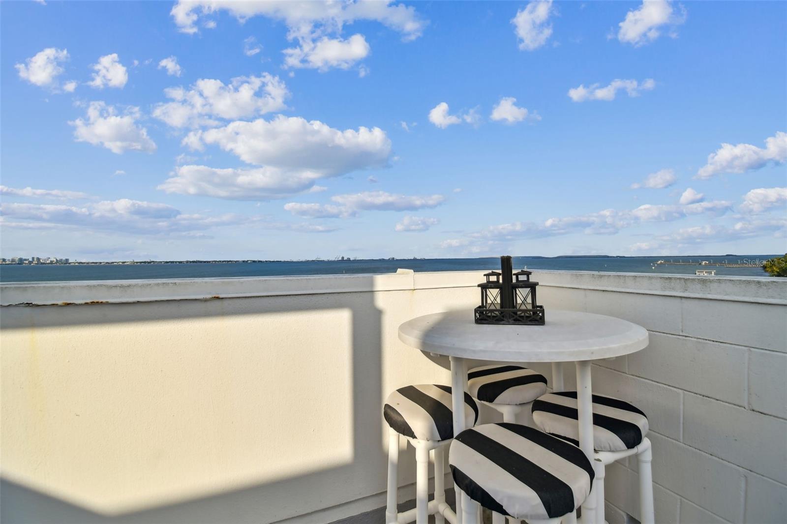 Image 67 of 99 For 4950 Bayshore Boulevard 22