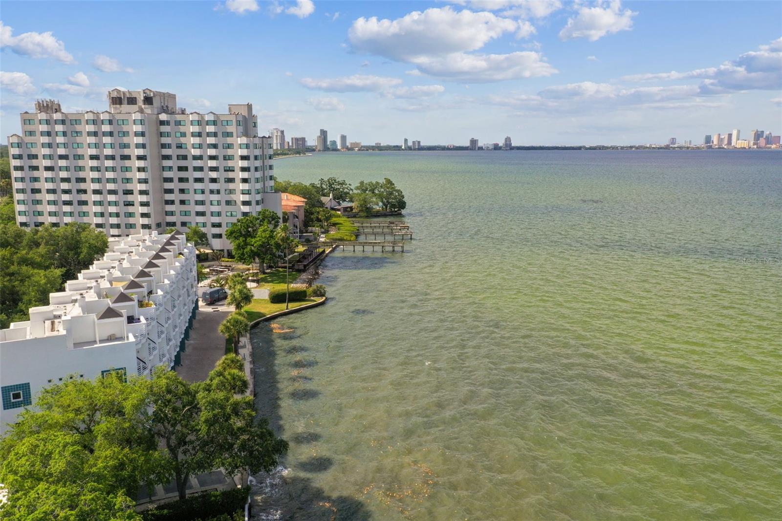 Image 91 of 99 For 4950 Bayshore Boulevard 22