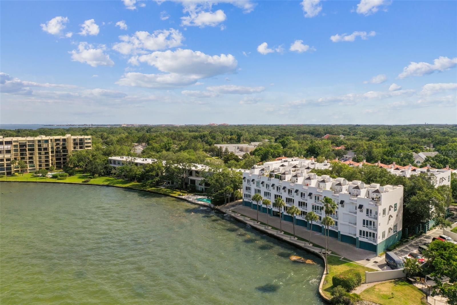 Image 92 of 99 For 4950 Bayshore Boulevard 22