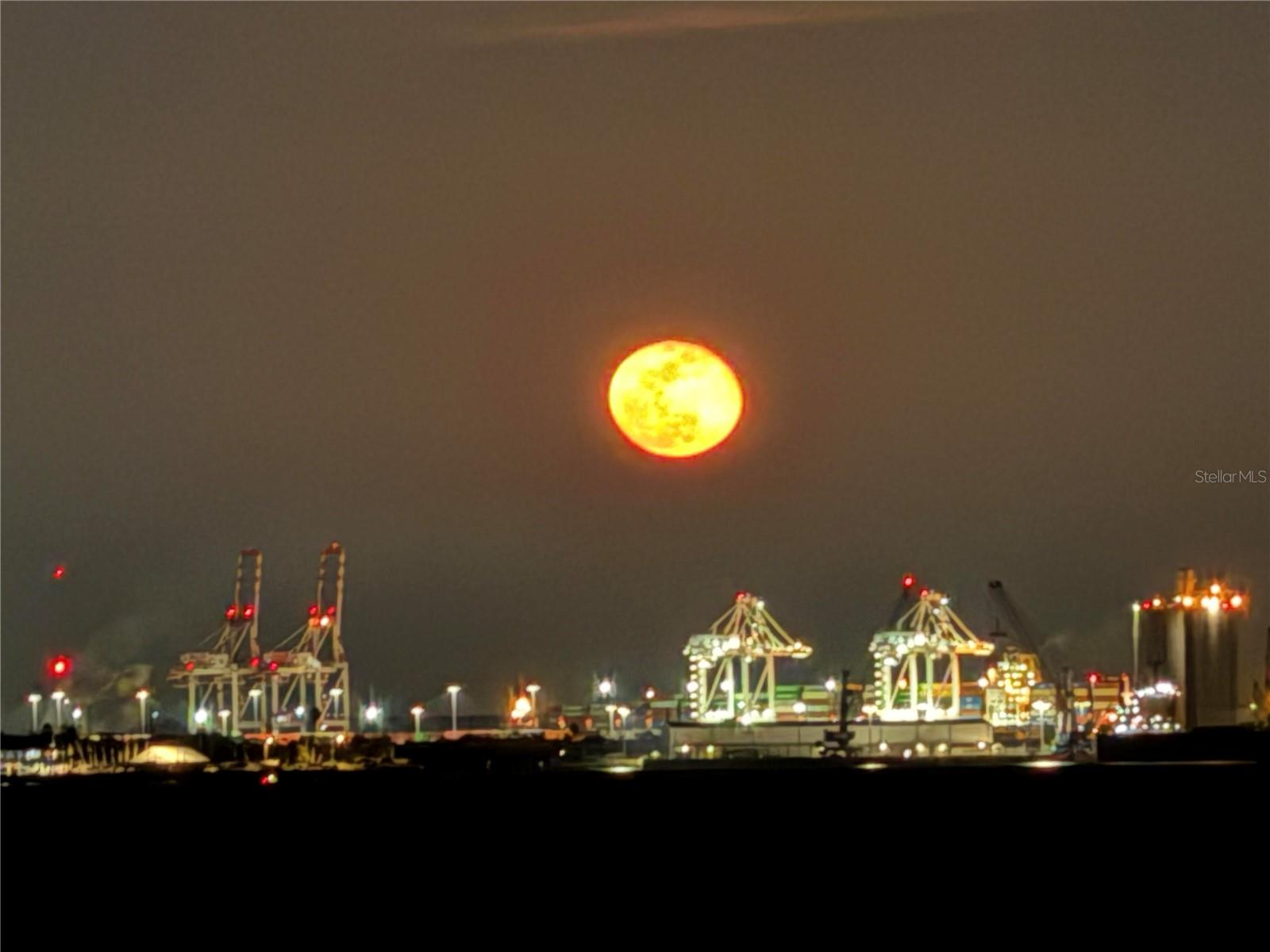 Image 93 of 99 For 4950 Bayshore Boulevard 22