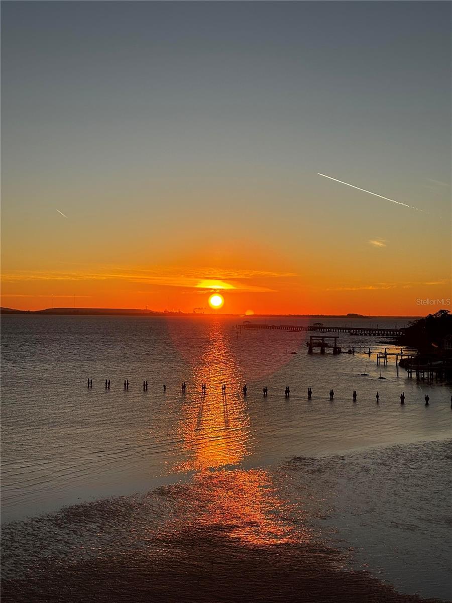 Image 94 of 99 For 4950 Bayshore Boulevard 22