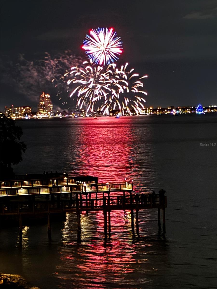 Image 95 of 99 For 4950 Bayshore Boulevard 22