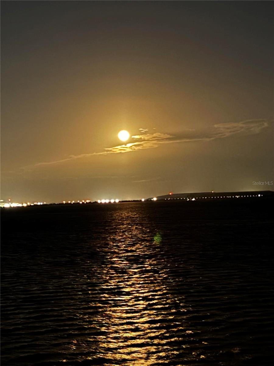 Image 97 of 99 For 4950 Bayshore Boulevard 22