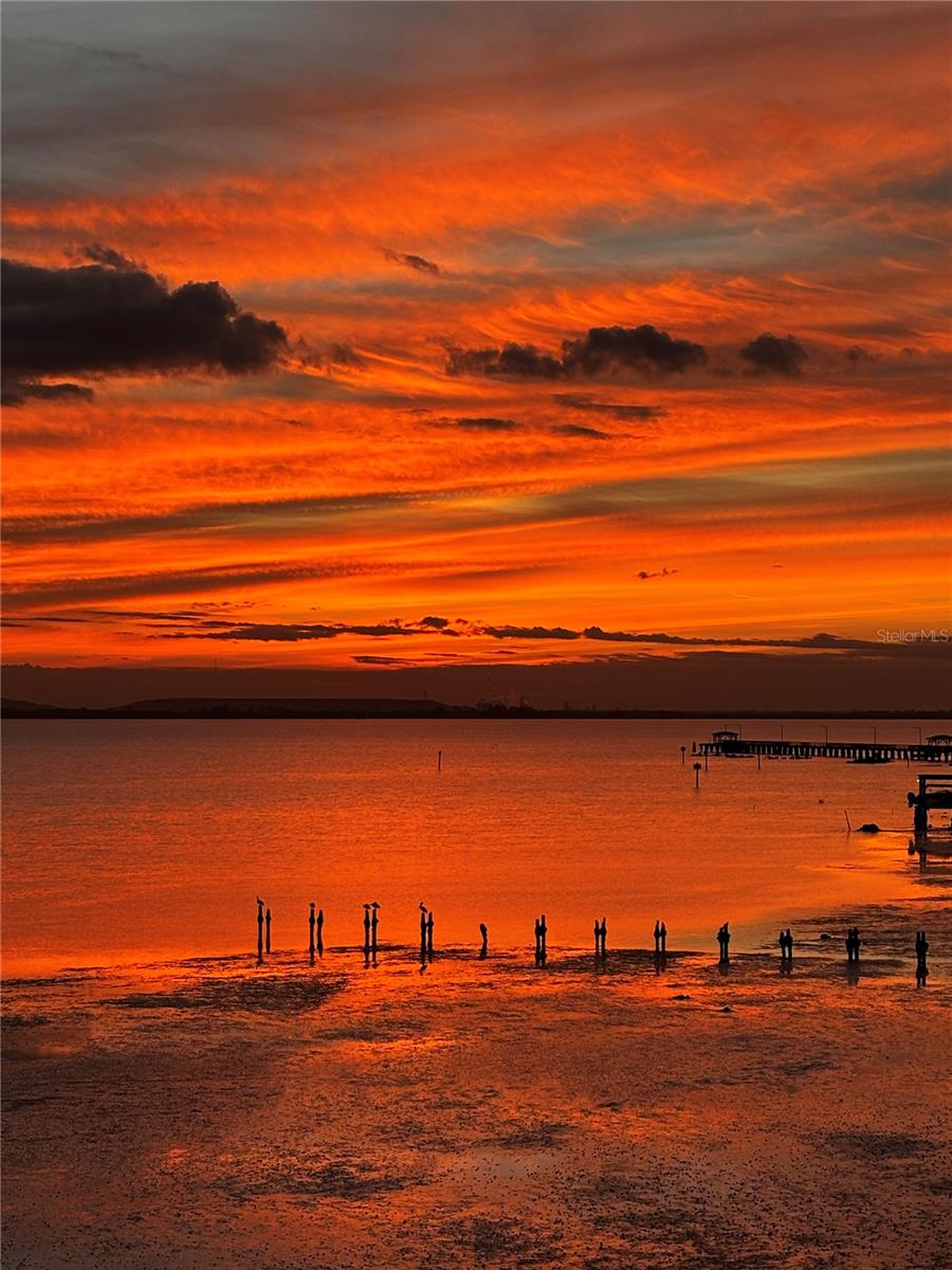 Image 98 of 99 For 4950 Bayshore Boulevard 22