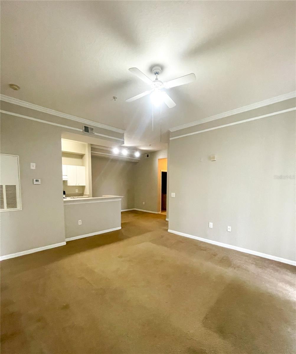 Image 11 of 25 For 17112 Carrington Park Drive 924