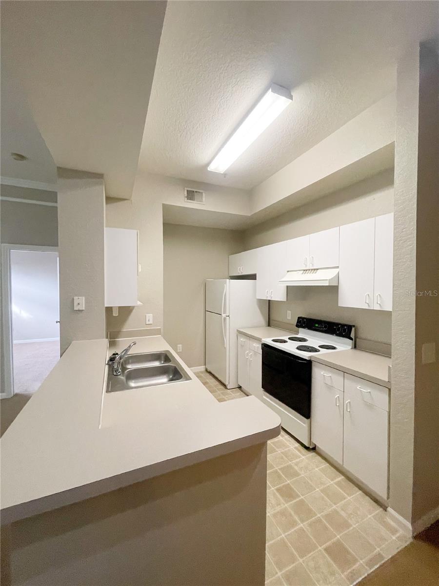 Image 5 of 25 For 17112 Carrington Park Drive 924