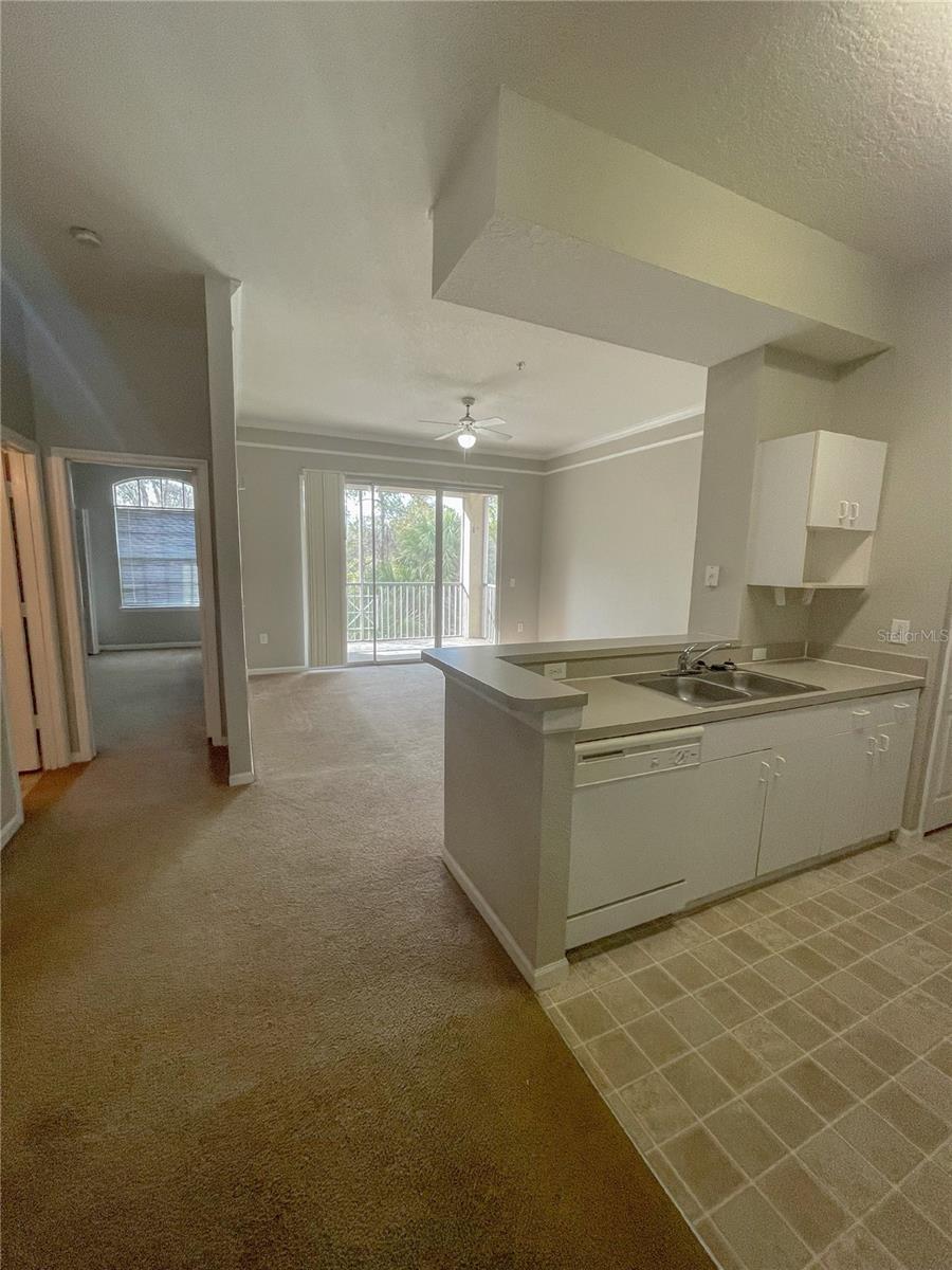 Image 7 of 25 For 17112 Carrington Park Drive 924