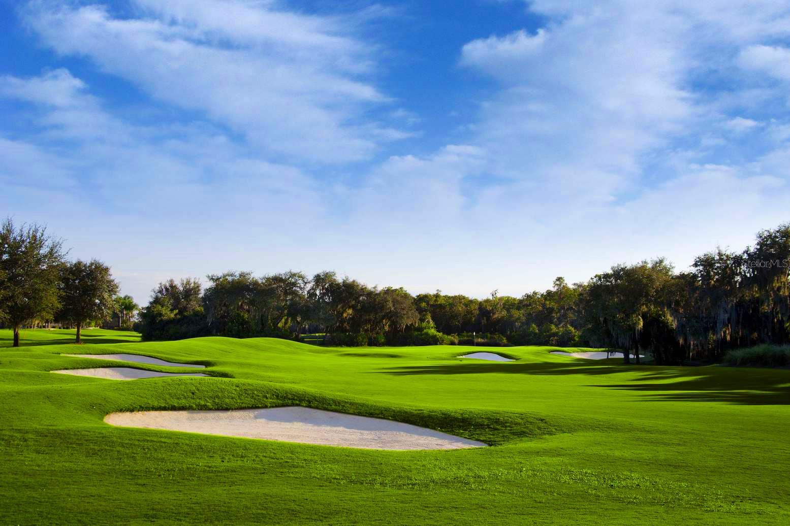 Image 46 of 54 For 1435 Emerald Dunes Drive