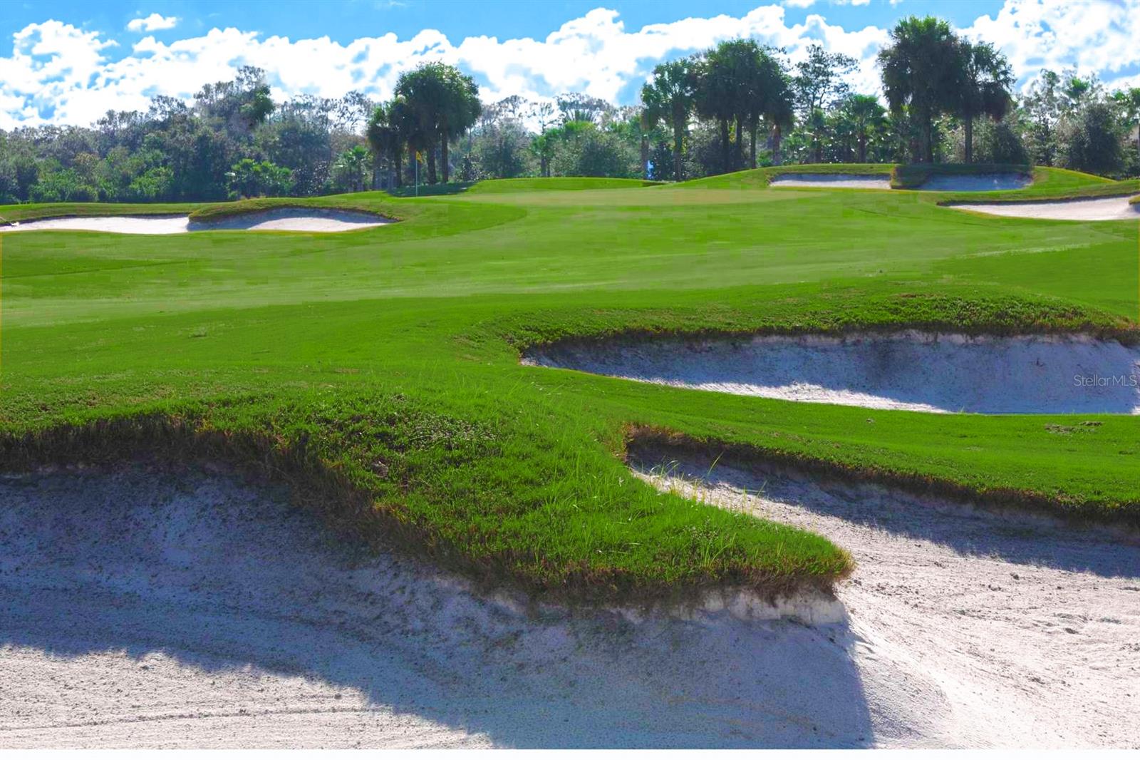 Image 47 of 54 For 1435 Emerald Dunes Drive