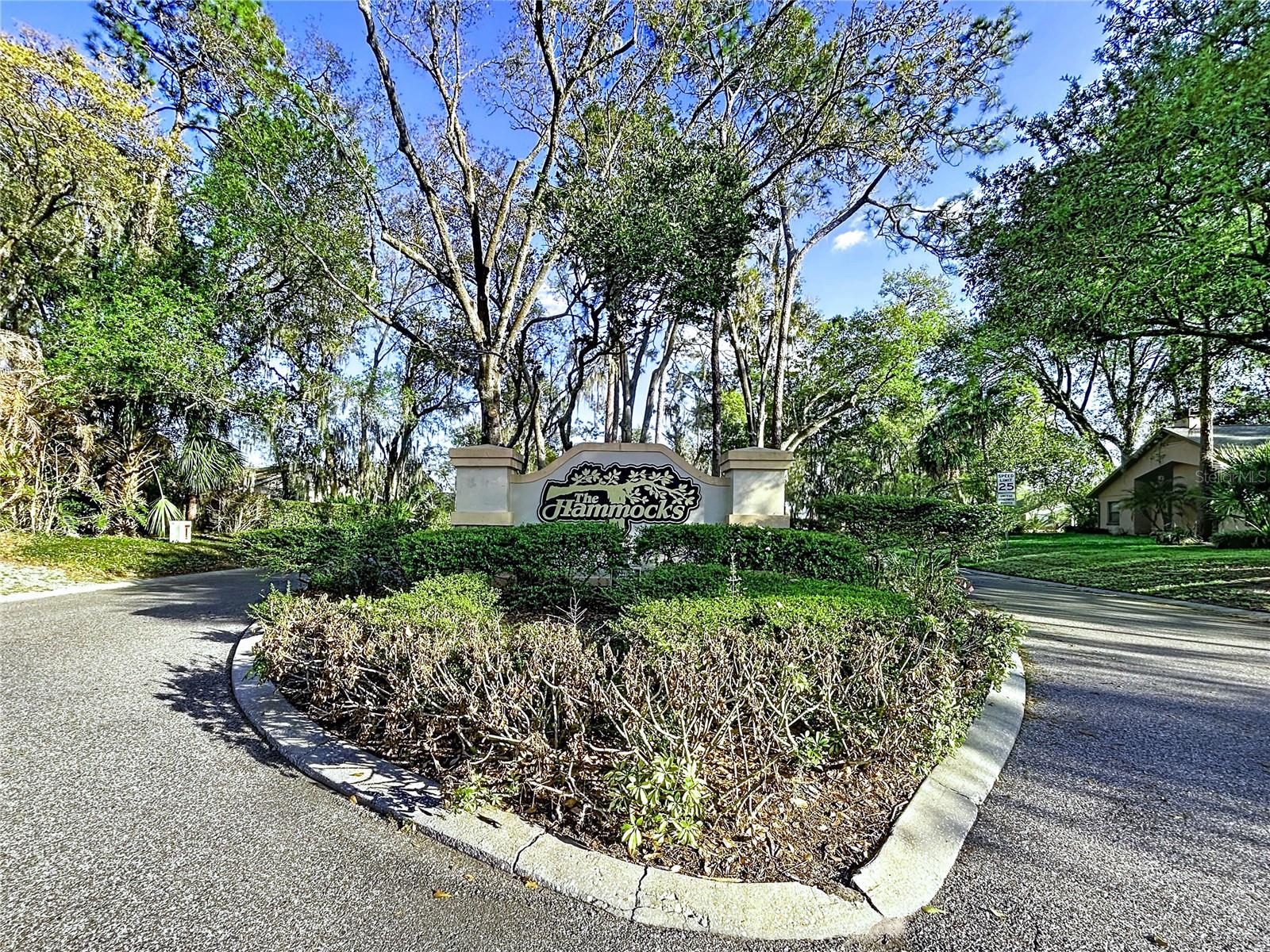 Listing photo id 1 for 2881 Hammock Drive