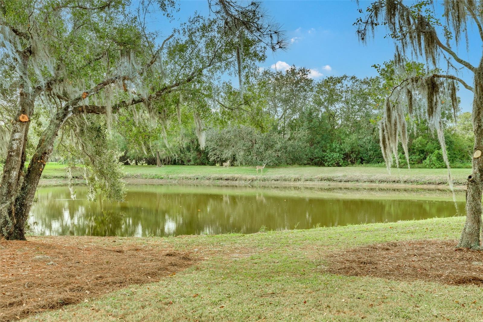 Image 36 of 37 For 470 Hickorynut Avenue