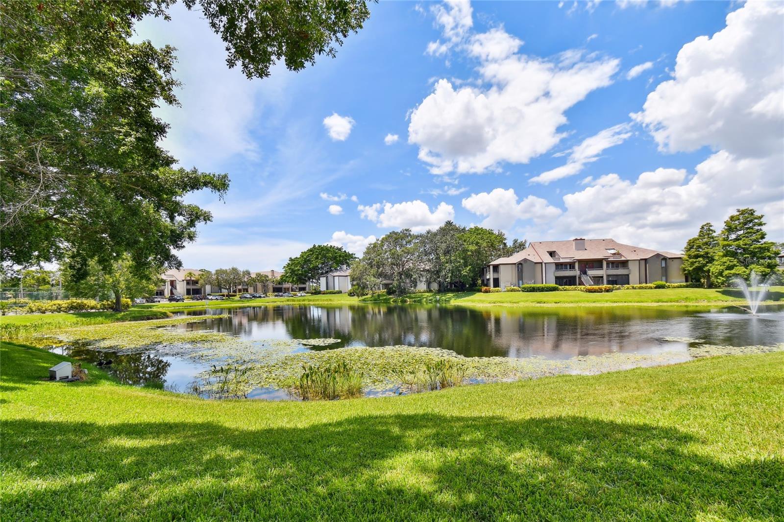 Image 33 of 58 For 10263 Gandy Boulevard N 616