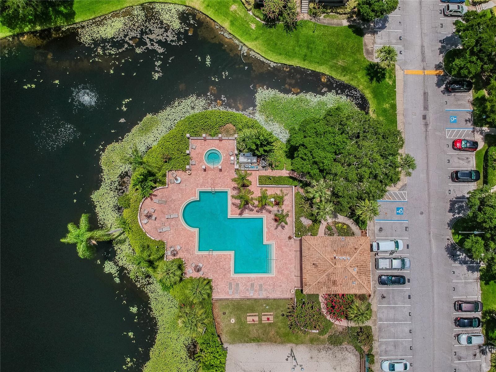 Image 44 of 58 For 10263 Gandy Boulevard N 616