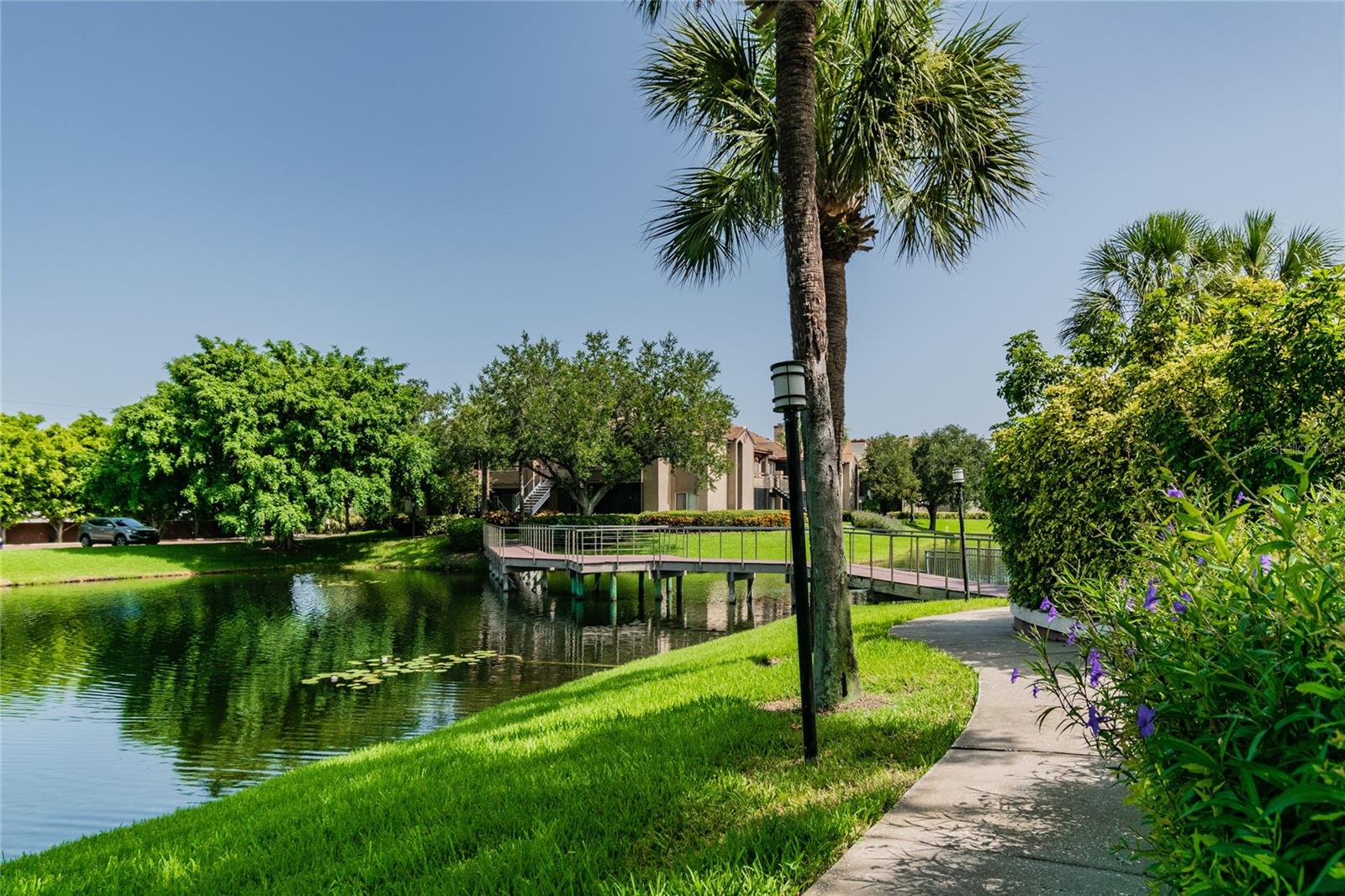 Image 45 of 58 For 10263 Gandy Boulevard N 616