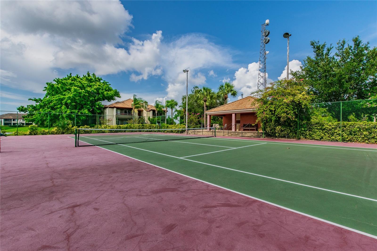 Image 55 of 58 For 10263 Gandy Boulevard N 616