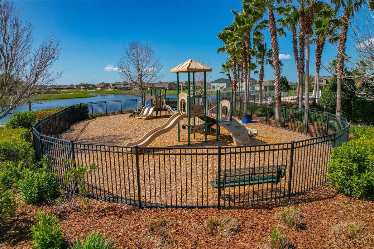 Image 50 of 51 For 13326 Palmera Vista Drive