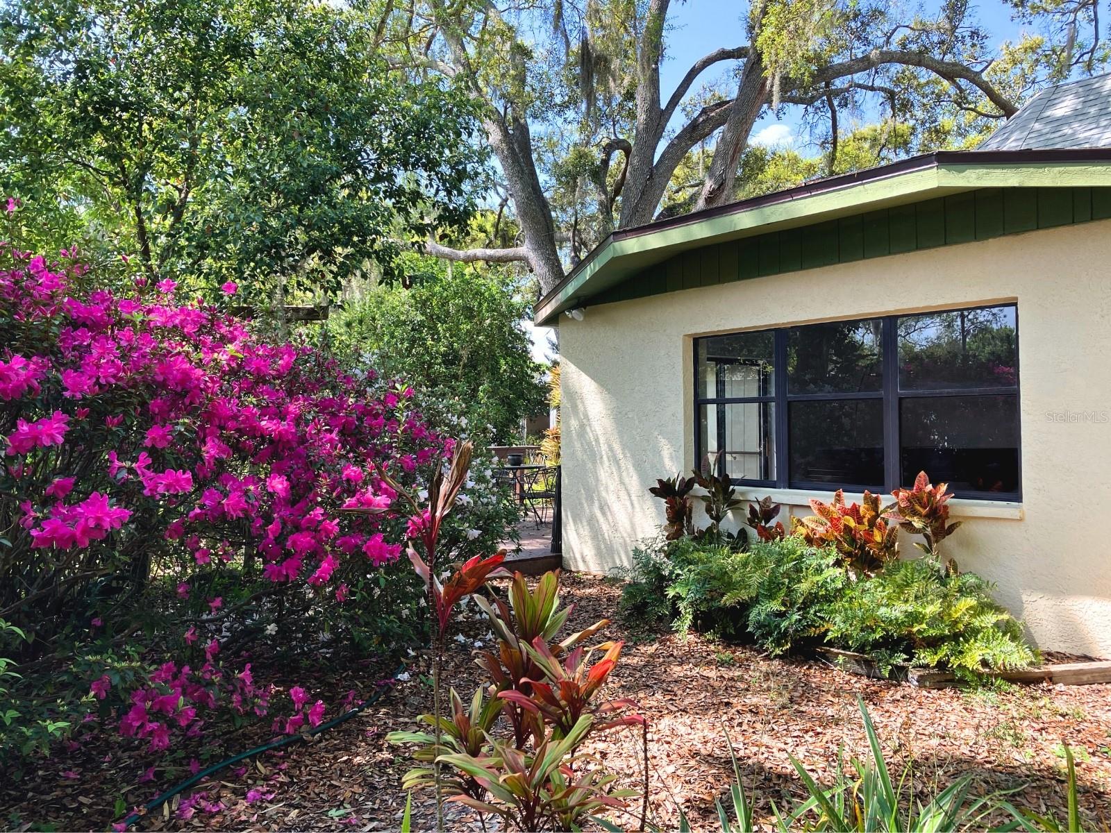 Image 8 of 17 For 21004 Negril Court