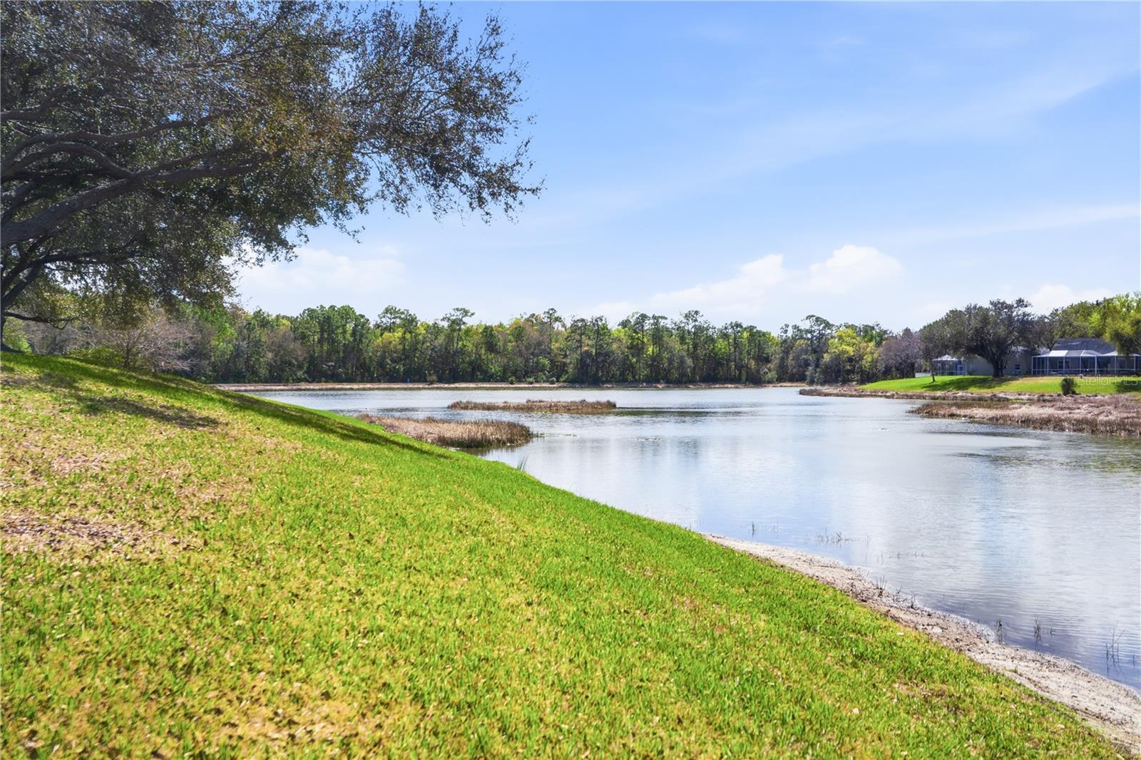 Image 10 of 31 For 19112 White Wing Place