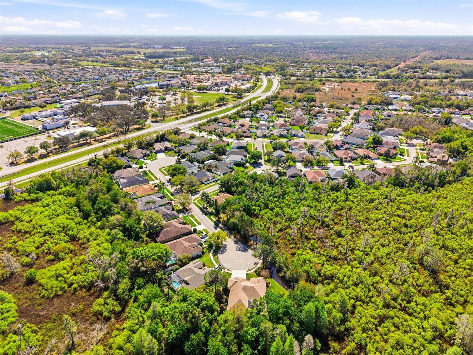 Image 45 of 50 For 8817 Wavyedge Court