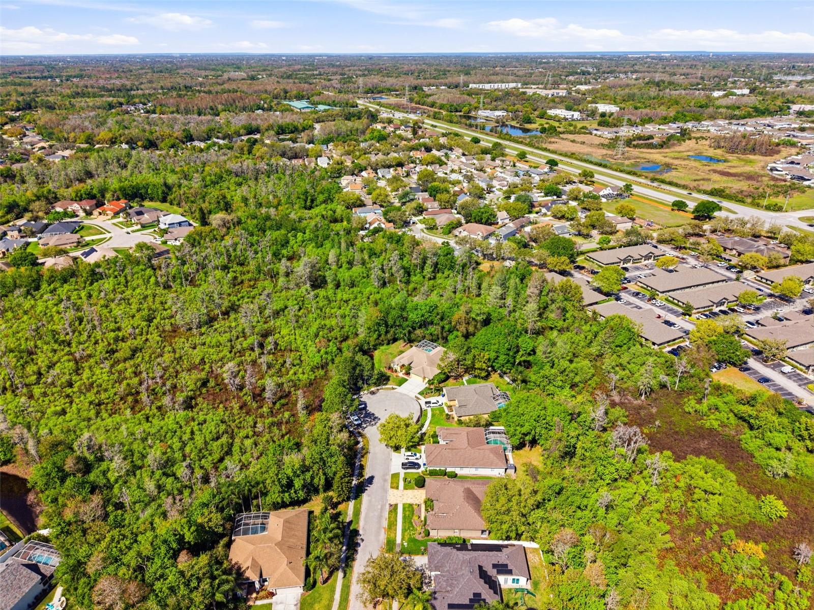 Image 47 of 50 For 8817 Wavyedge Court