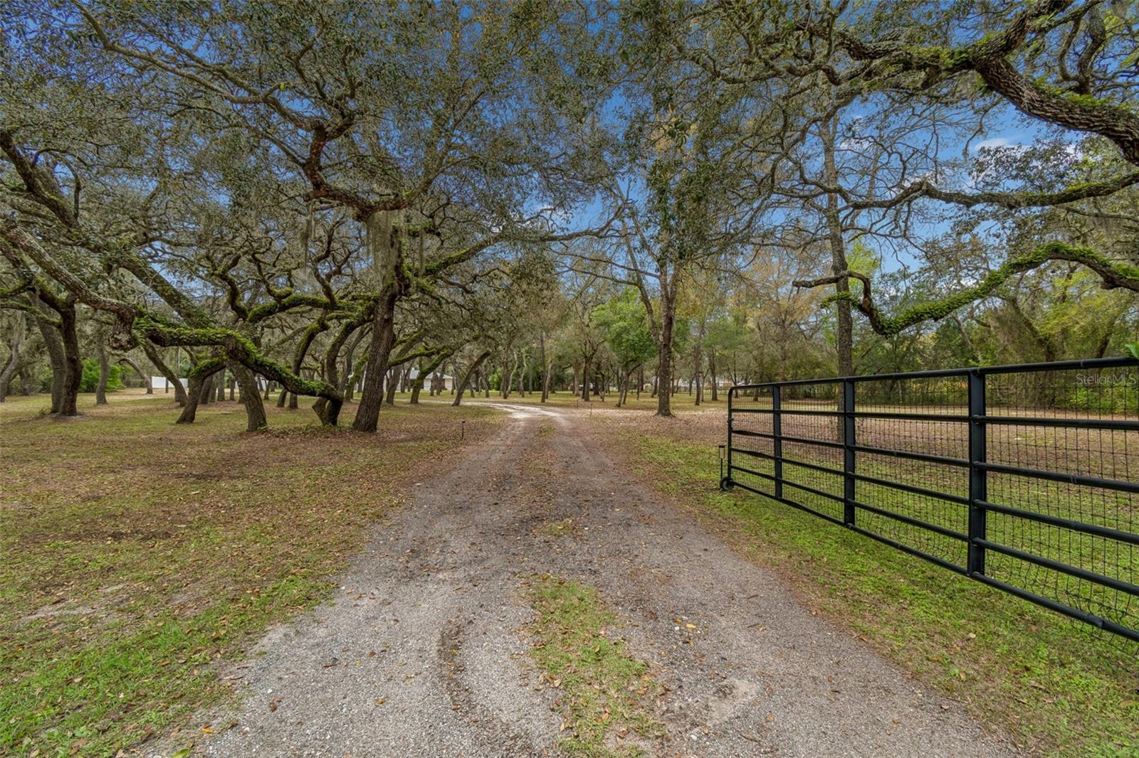 Listing photo id 2 for 13402 Peace Boulevard