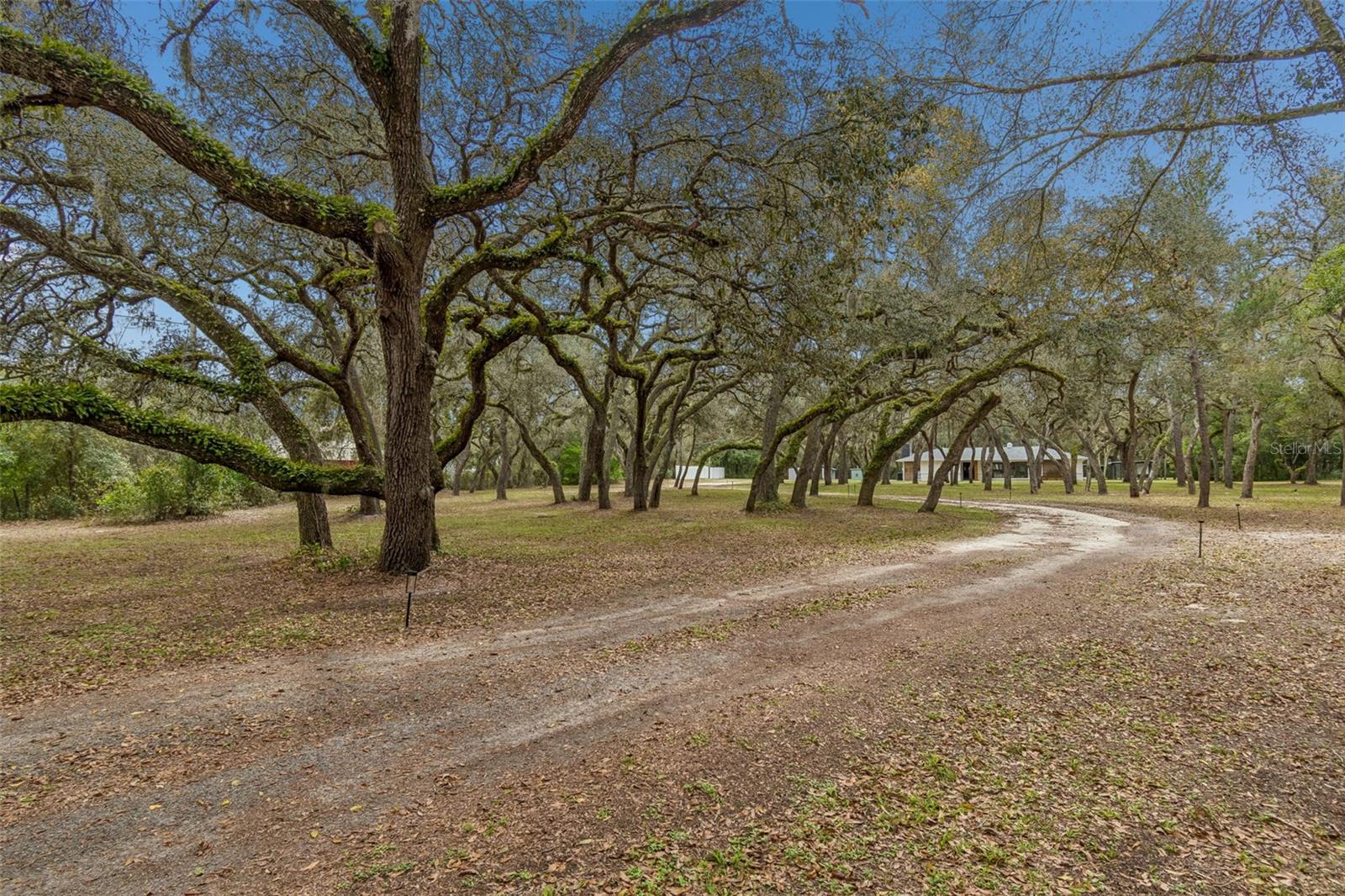 Listing photo id 3 for 13402 Peace Boulevard