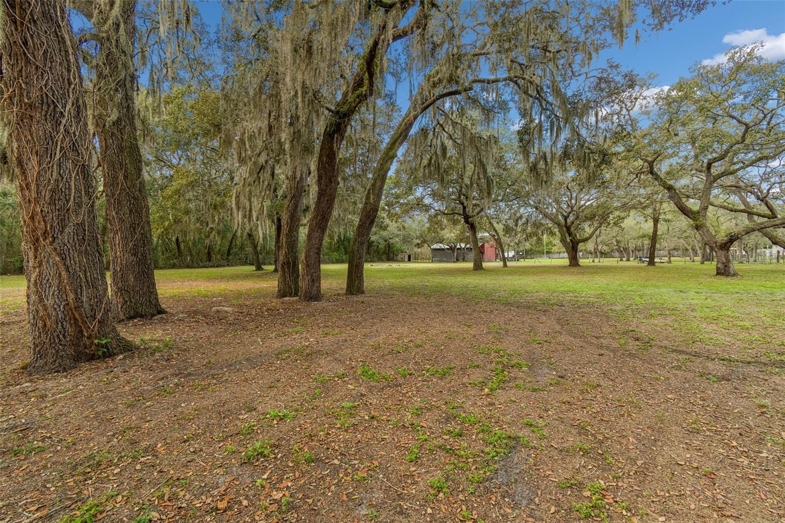 Listing photo id 74 for 13402 Peace Boulevard