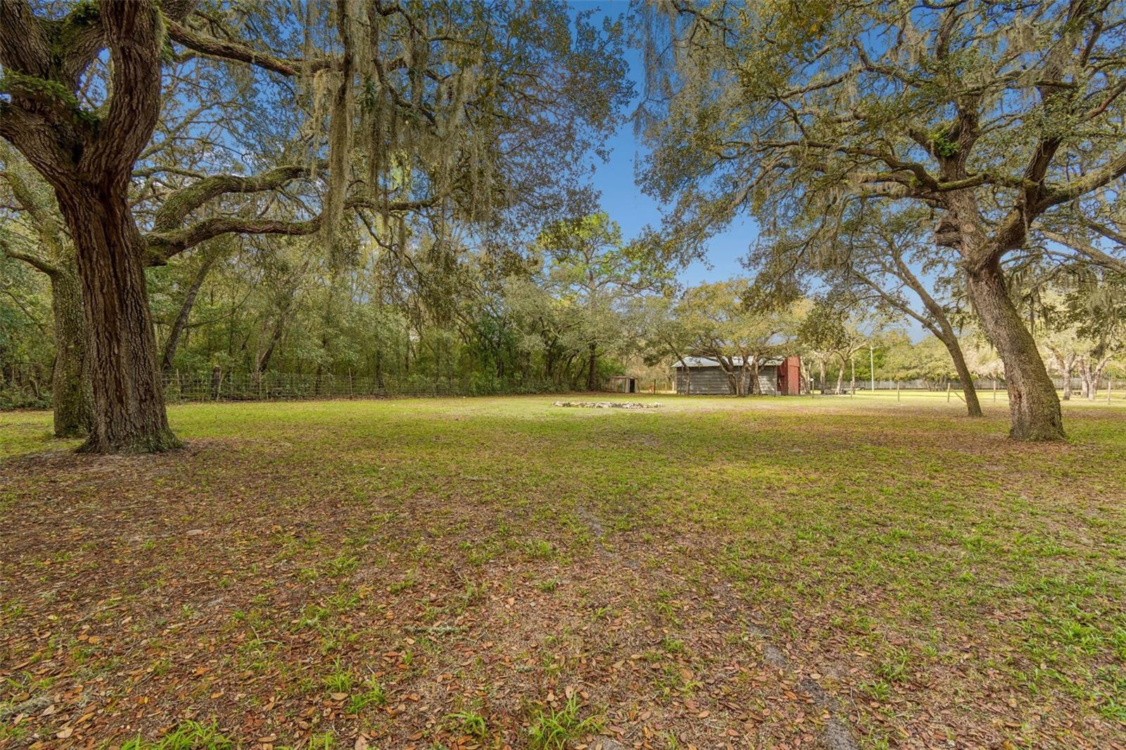 Listing photo id 75 for 13402 Peace Boulevard