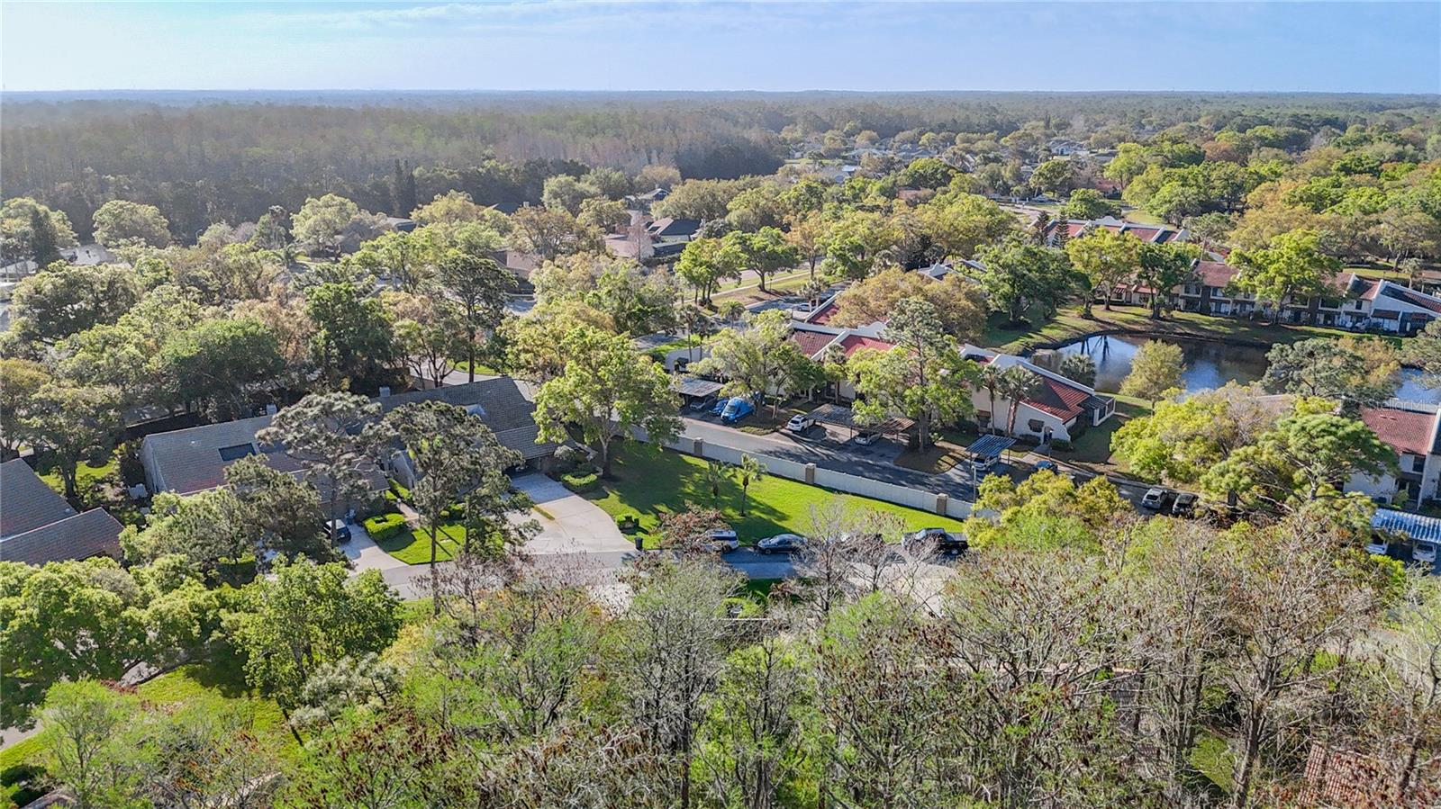 Image 3 of 60 For 2934 Windmoor Drive S