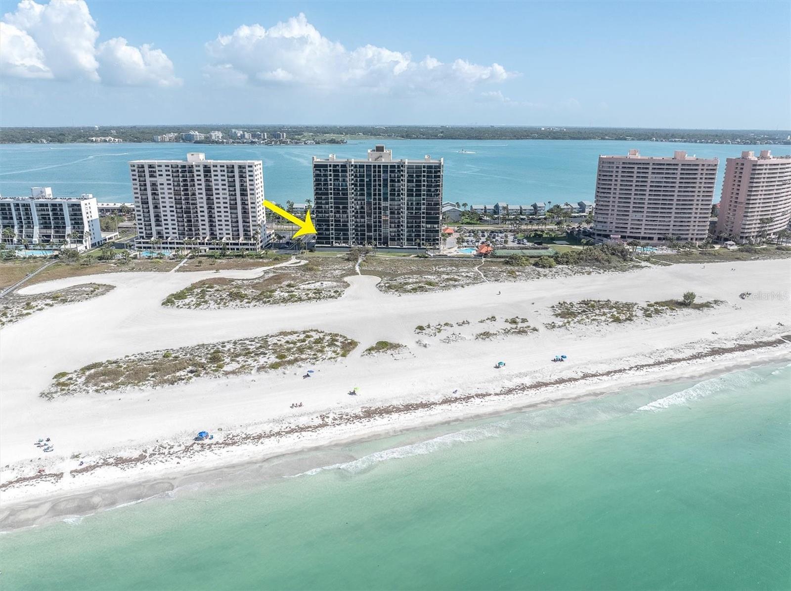 Image 38 of 47 For 1290 Gulf Boulevard 408