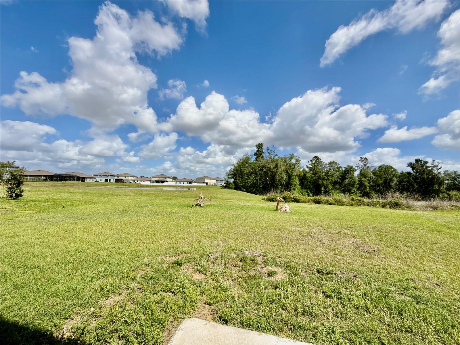 Image 47 of 48 For 35657 Buttonweed Trail