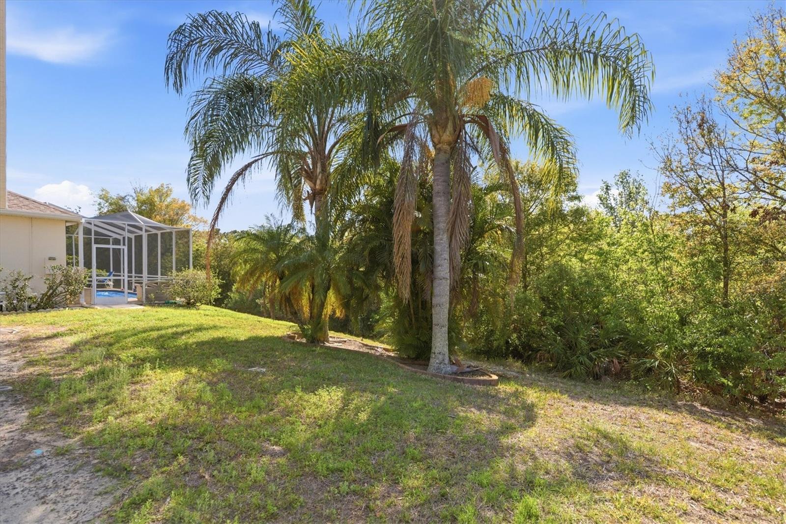 Image 34 of 40 For 2211 Pleasant Hill Lane