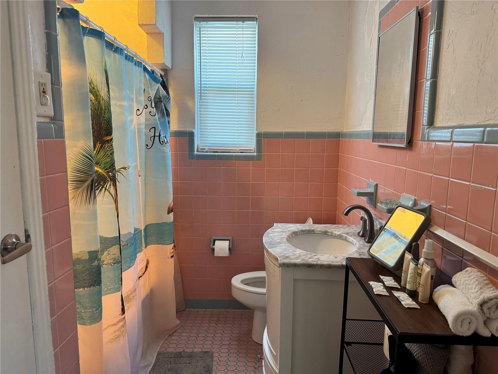 Image 10 of 19 For 756 Mandalay Avenue