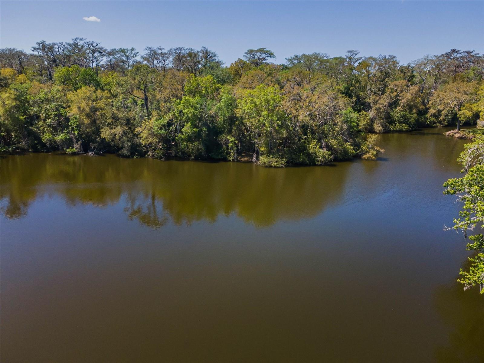 Image 58 of 93 For 1418 Woodstream Drive