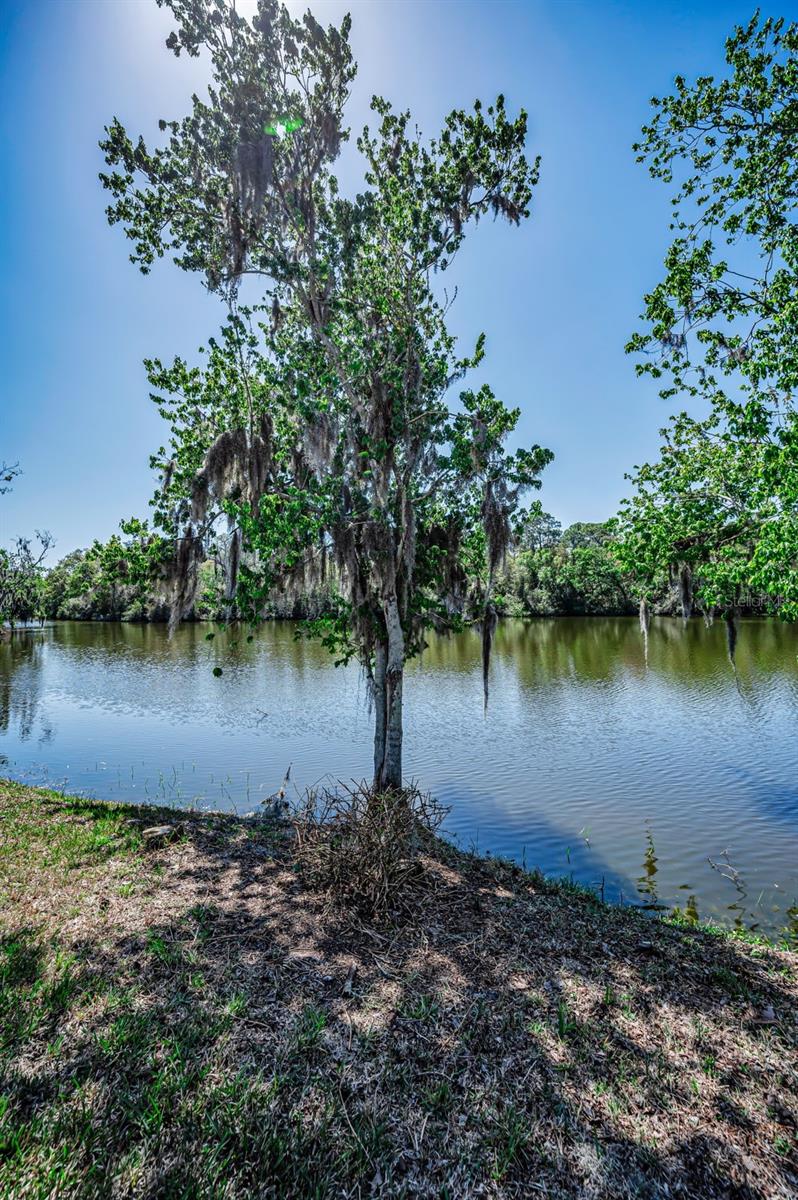 Image 59 of 93 For 1418 Woodstream Drive