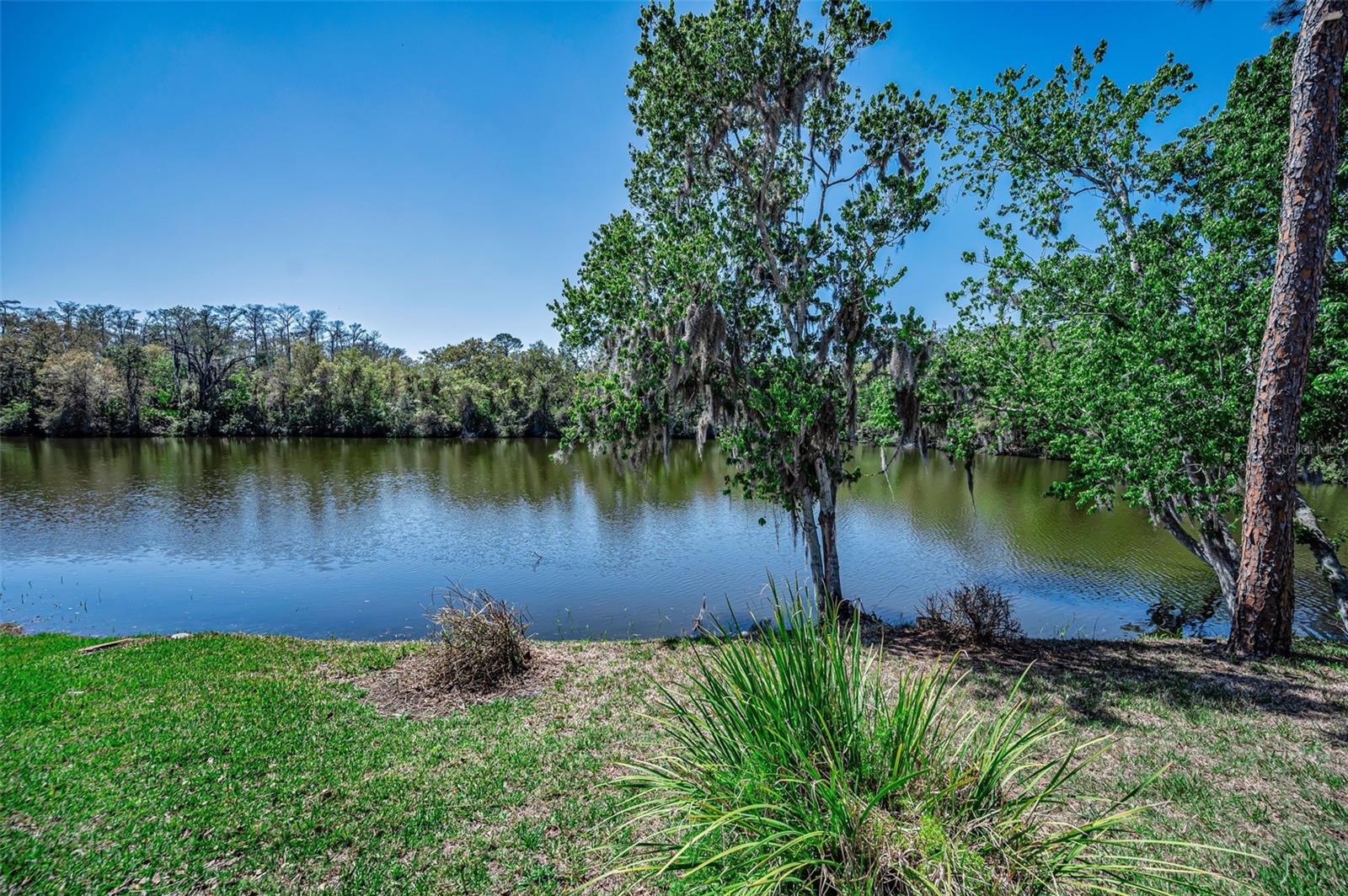 Image 60 of 93 For 1418 Woodstream Drive