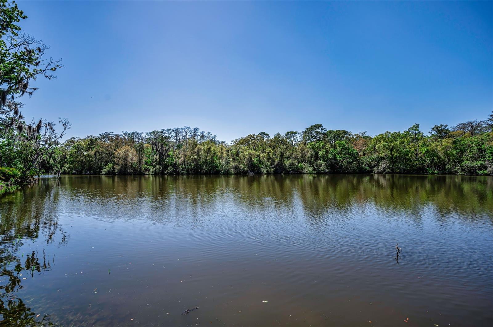 Image 61 of 93 For 1418 Woodstream Drive