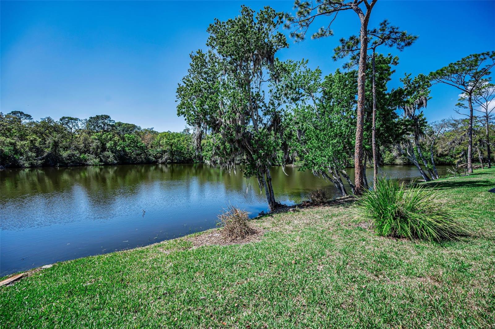 Image 64 of 93 For 1418 Woodstream Drive