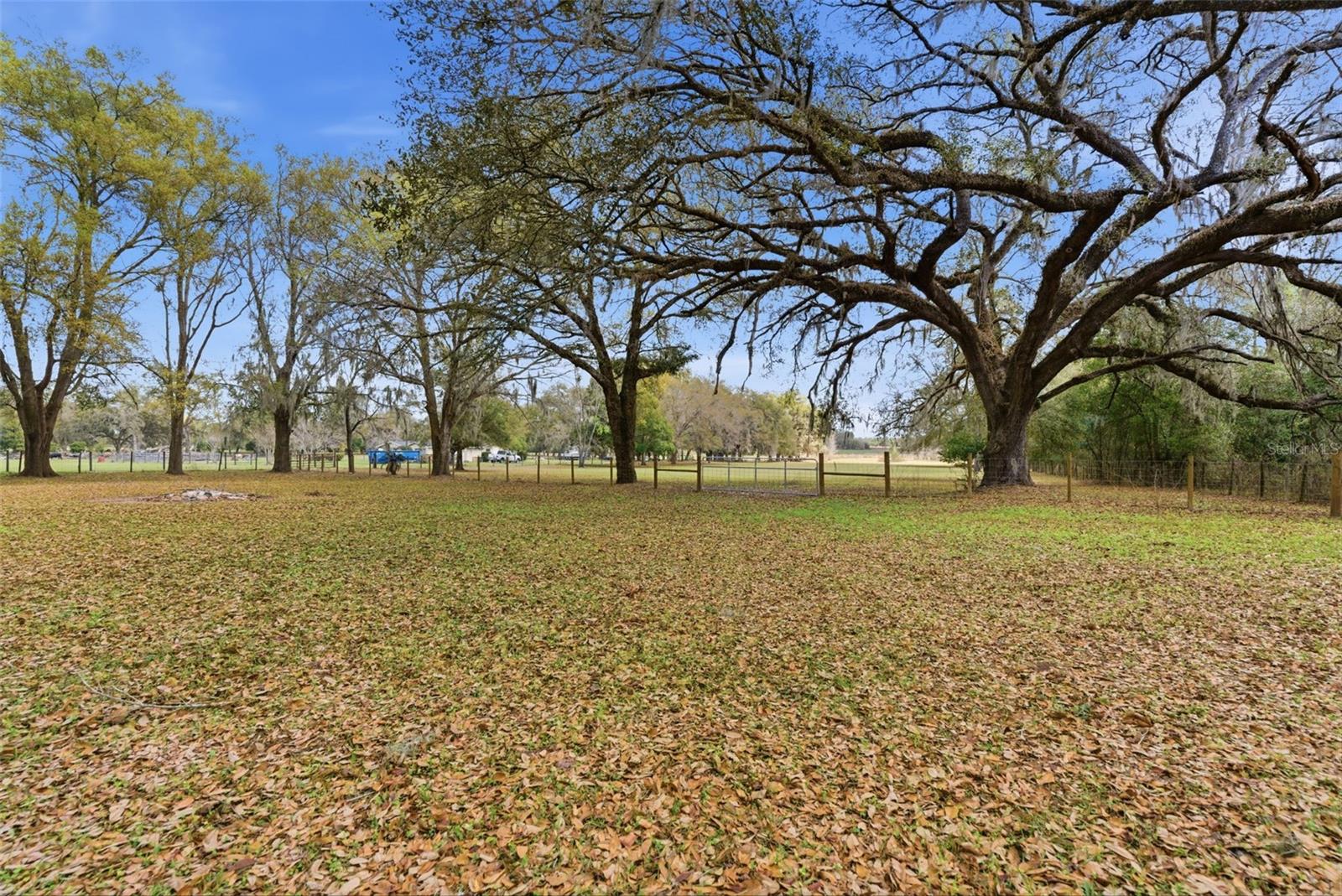 Image 26 of 39 For 9242 Us Highway 98