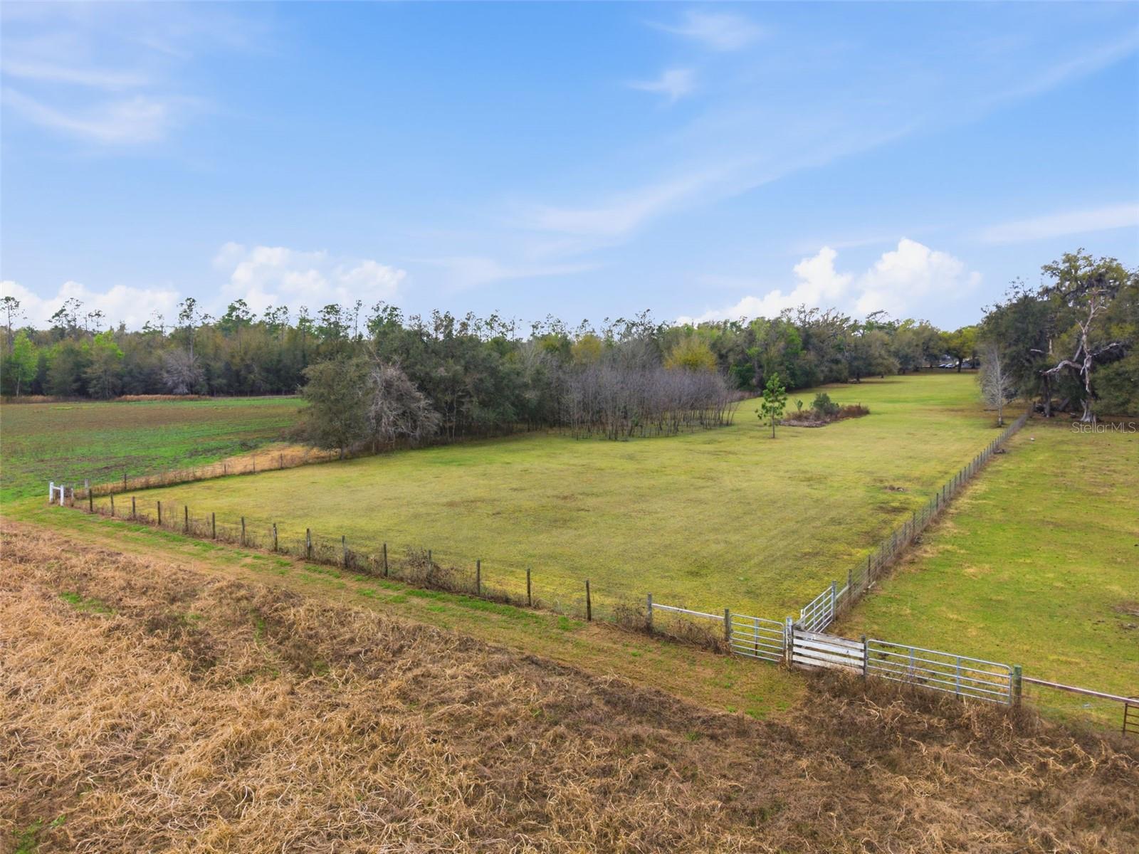 Image 31 of 39 For 9242 Us Highway 98