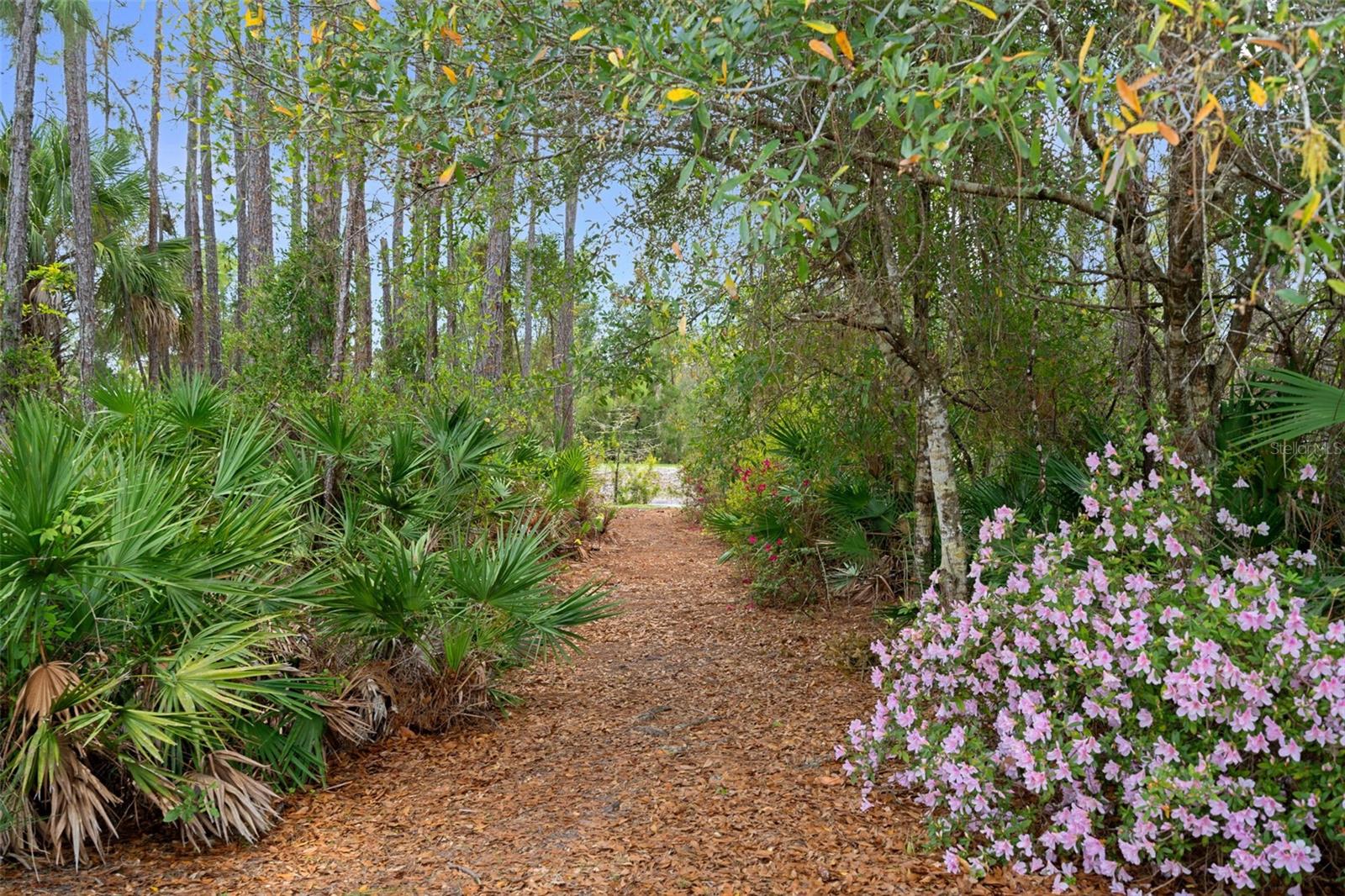 Image 41 of 60 For 3185 Ulman Avenue