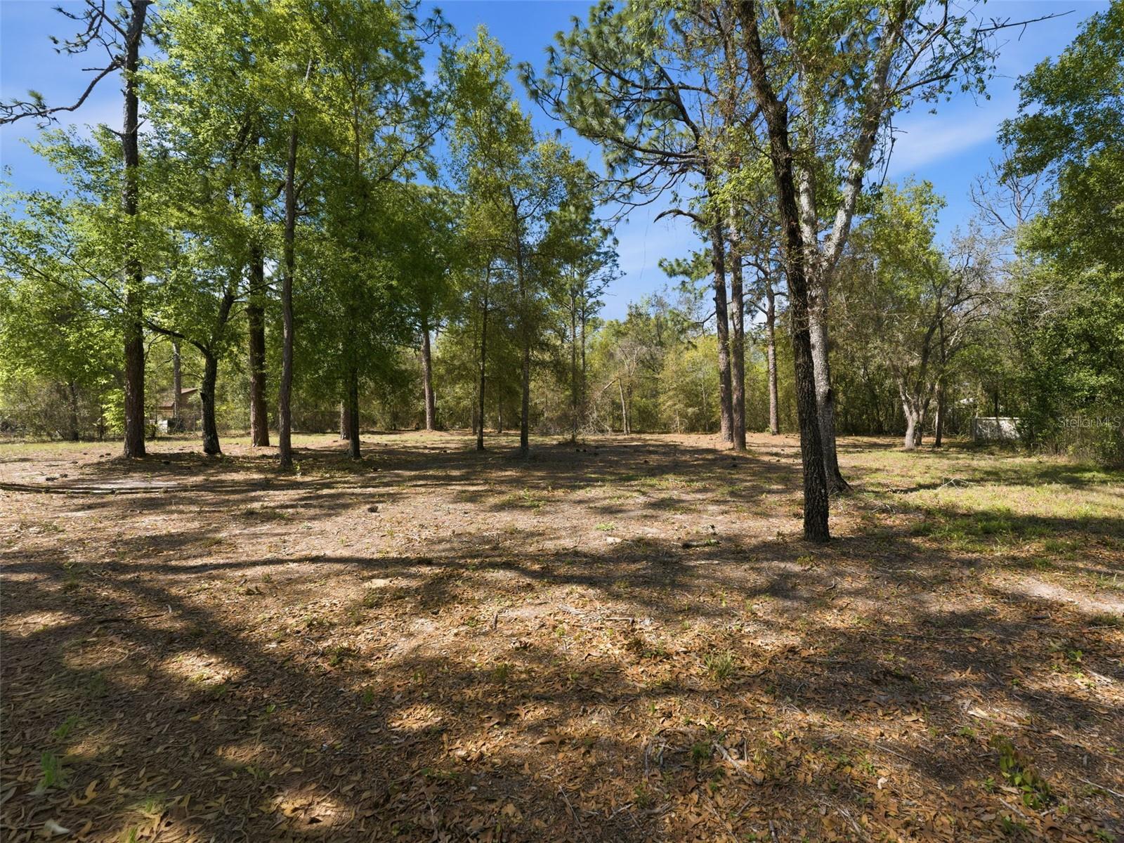 Image 95 of 97 For 4025 Spring Park Way