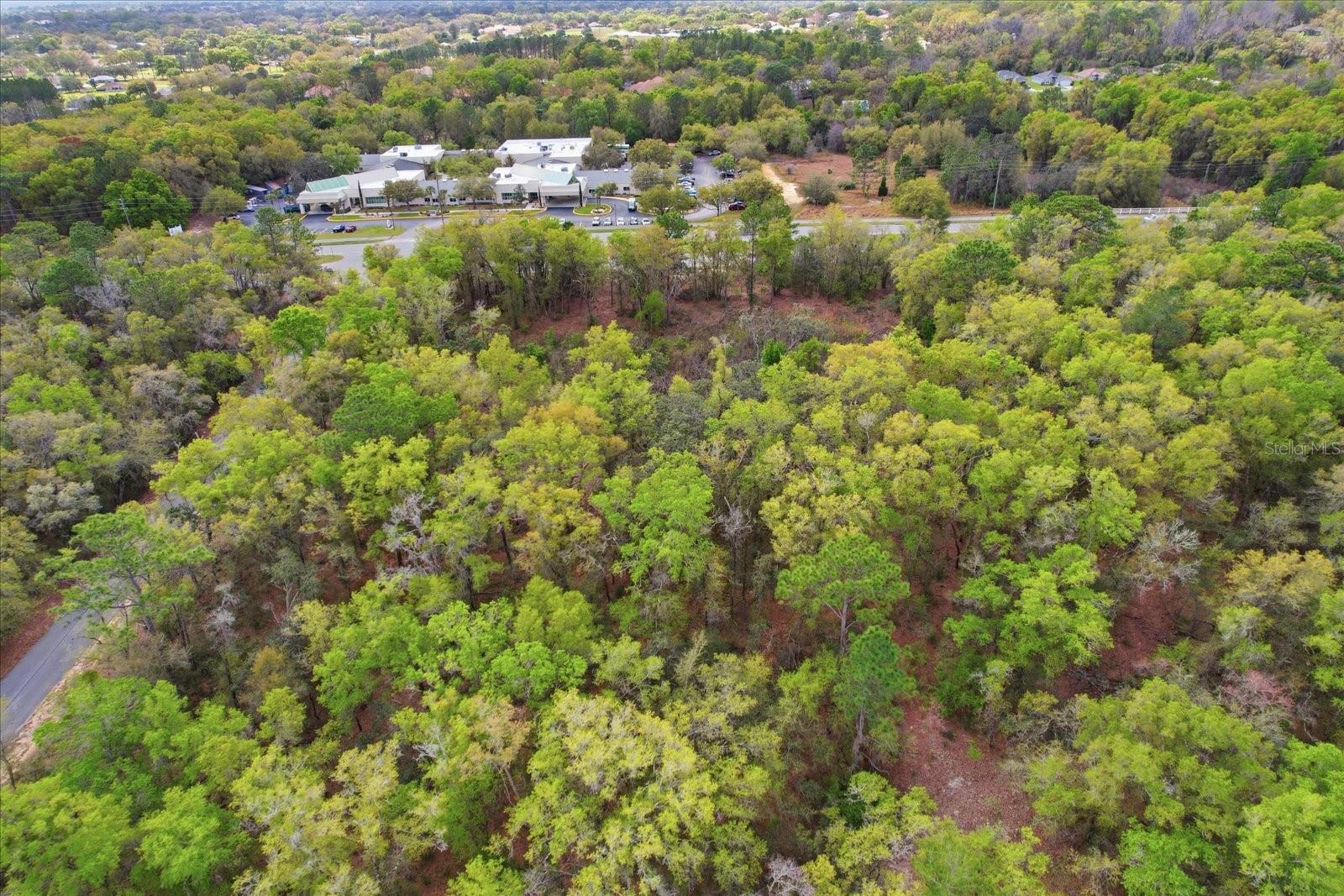 Image 21 of 30 For 161 Norvell Bryant Highway