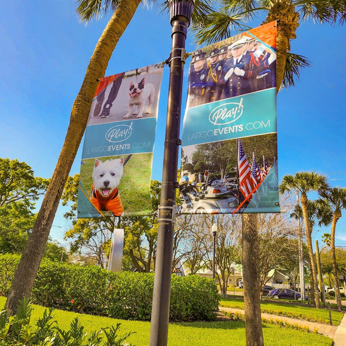 Image 34 of 38 For 331 Tralee Street