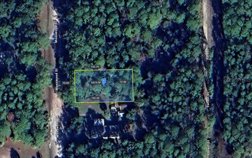 Image 5 of 8 For 138 Mosswood Street