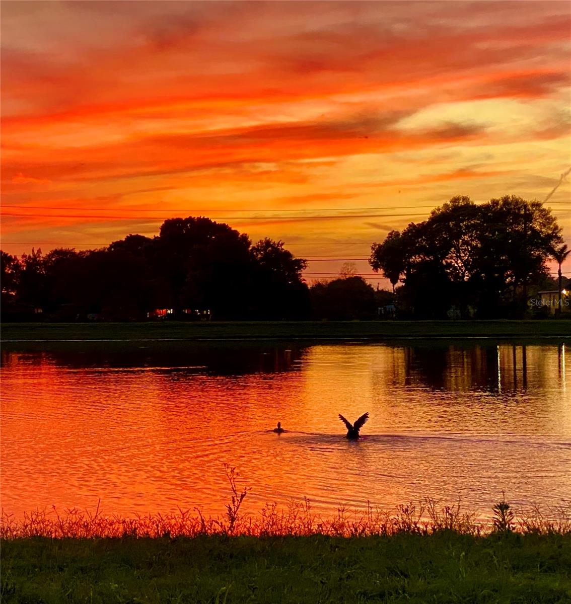 Image 49 of 78 For 3713 Romano Busciglio Street