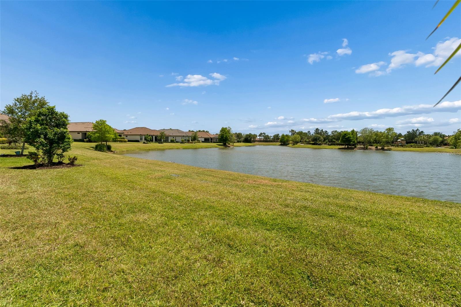 Image 35 of 45 For 11318 Juglans Drive