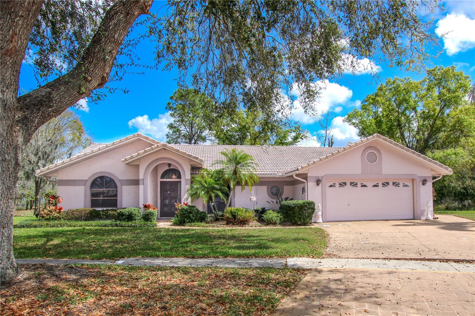 Details for 1003 Calle Rosa Place, SUN CITY CENTER, FL 33573